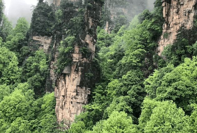 么安排高品质行程？张家界四日游优质路线球盟会入口登录去张家界旅游四天需要怎(图2)